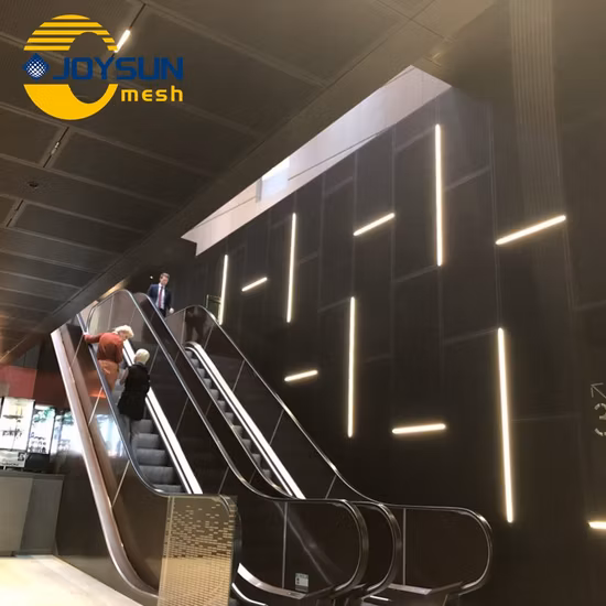 Taglio laser Taglio CNC Facciata decorativa Schermo esterno Rivestimento in alluminio Pannello solido per facciata perforata in alluminio singolo da 3 mm